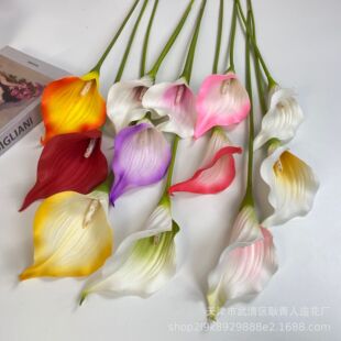 �羳�������Q��֦EVA�R��ɏ���滨 ��c�������ҾӘӰ巿�b�