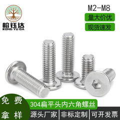 304 ステンレス鋼大型皿六角穴付きネジ CM 皿六角穴付きネジ薄頭ネジ