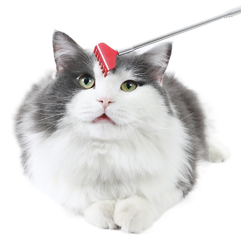Metal retráctil cosquillas perro gato masaje limpieza cosquillas cepillo Palma forma PET limpieza suministros