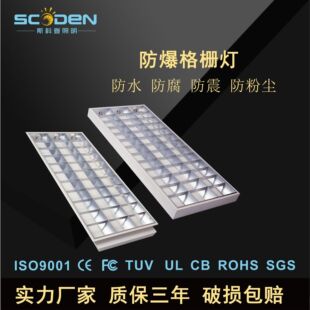 Customized Iron Mesh Protective Emergency Grille Fluorescent Lamp Panel 600*600*120 Concealed Surface Mounted Led Explosion-Proof Grille Light