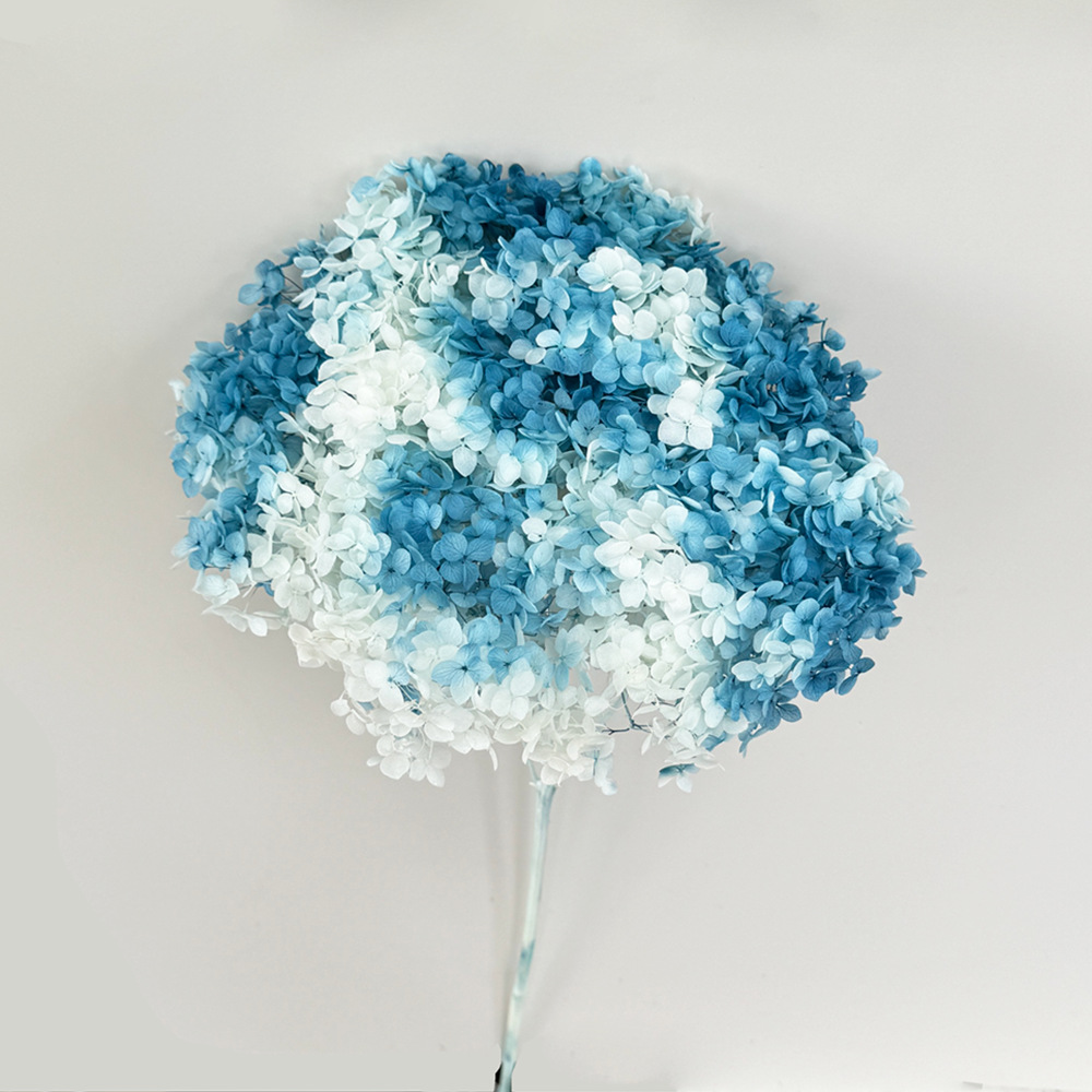 Flores eternas hortenida flores secas Ana hortenida hojas hortenida cabeza de hortenida flores eternas cubierta de vidrio material floral plancton diy