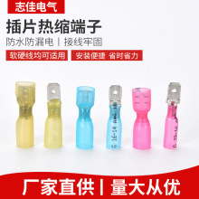 插片热缩端子1.25-250/2-250/5.5-250三种型号热缩插片端子
