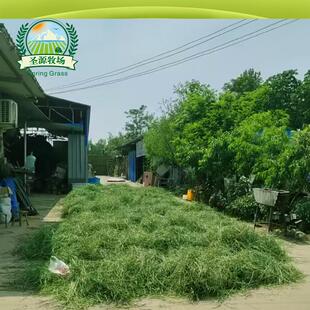 2025��ĥ������Ħ���� �ò���Ħ���� ������؈���m�i�Z���I5��1