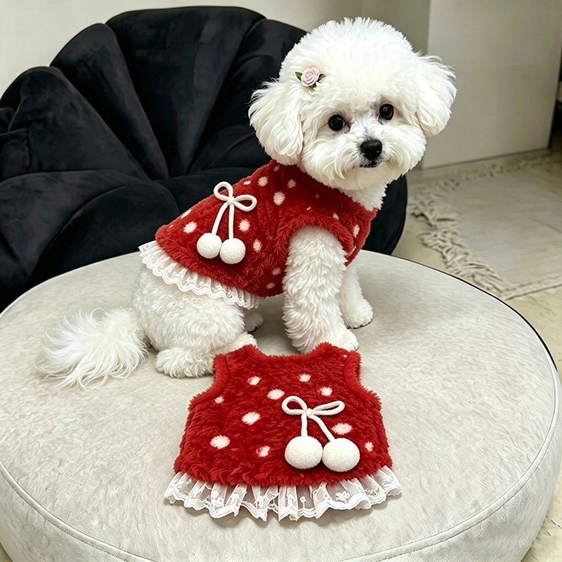 가을, 겨울 강아지 보온 기모 옷 빨간색 웨이브 레이스 기모 조끼 중소형견 테디 비숑