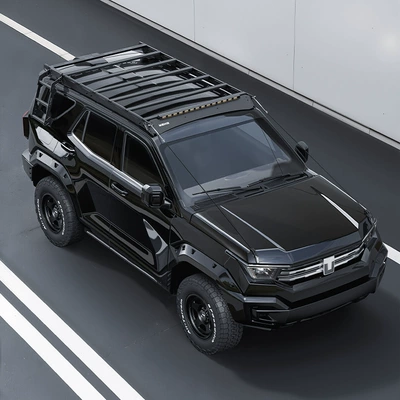 Suitable for Tank 400 Special Vehicle Roof Luggage Rack Frame Expansion Platform Side Ladder Side Mounting Plate Modification Parts (Roof rack) - tank-400-roof-platform-load-bearing-model