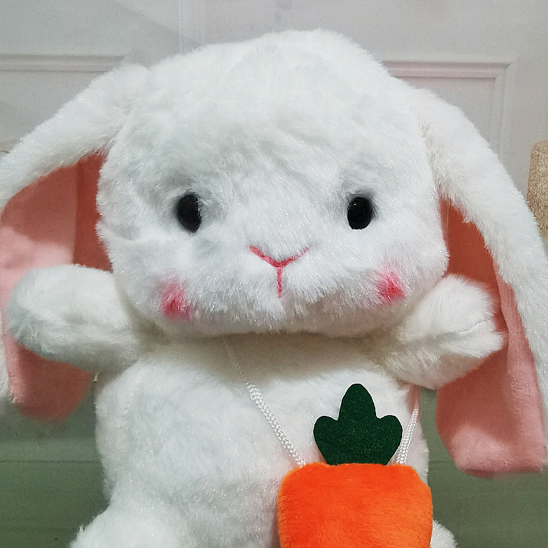 IMG_20220224_172456_副本