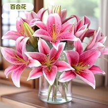 香水百合花鲜花批发云南鲜花基地直批花店拿货团购货源可一件代发