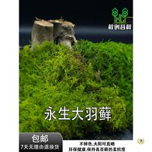 ?���\��̦�\������̦�\�װl�\����\�����\С���쾰�����̦����