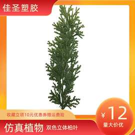 绿植新品 柏叶类铁线枝条插花装饰假花水草植物叶子摆件 爆款热卖