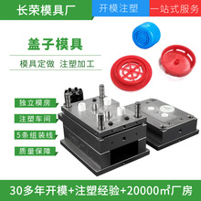 塑料盖子开模注塑模具加工定制多腔模具注塑塑胶模具开发厂家精密