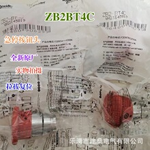 ȫ��ԭ�S ��ͣ���o�_�P�^�� ZB2BT4C &Phi;40 ���Ώ�λ ZB2BZ102C
