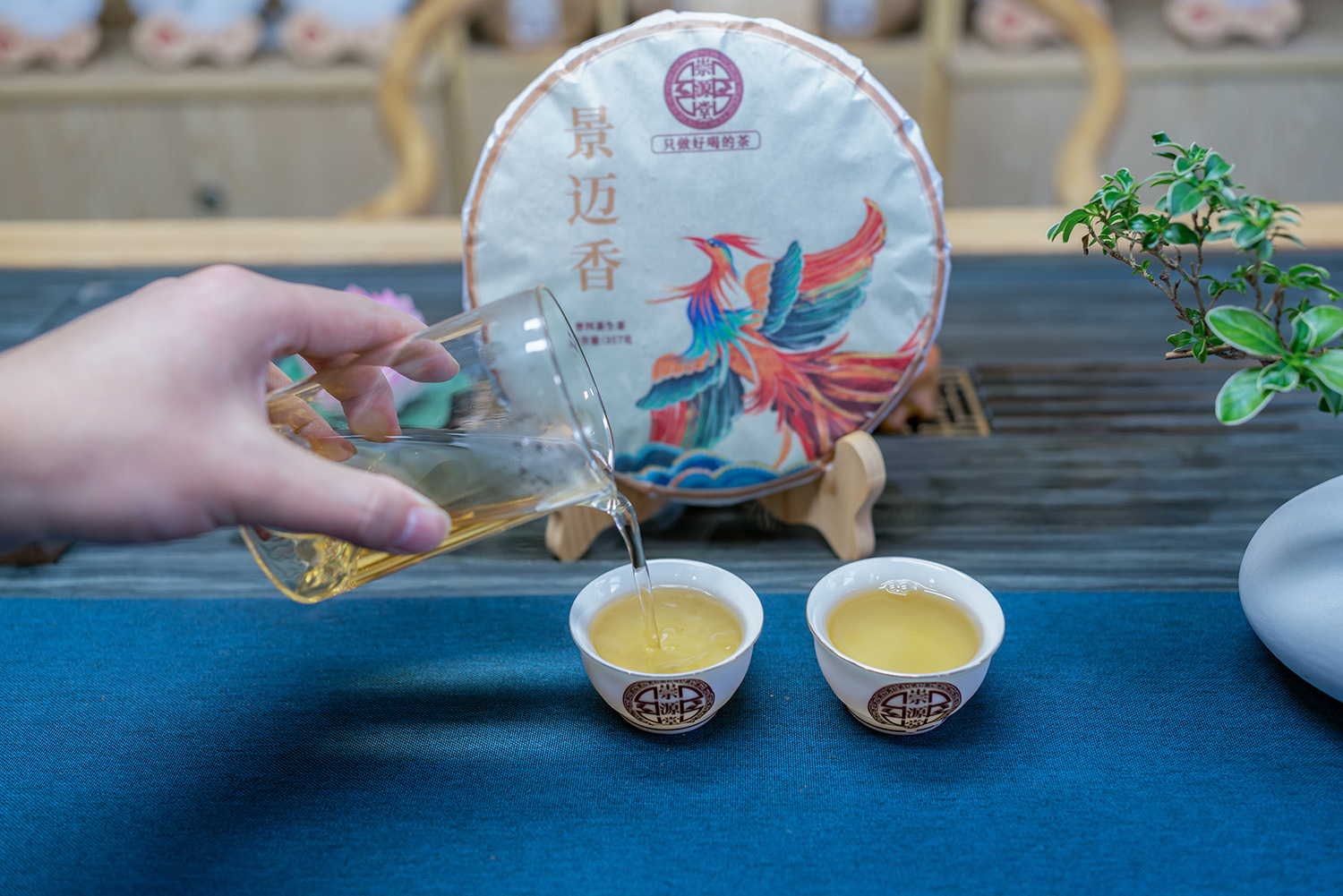 凤凰景迈香 (12).jpg