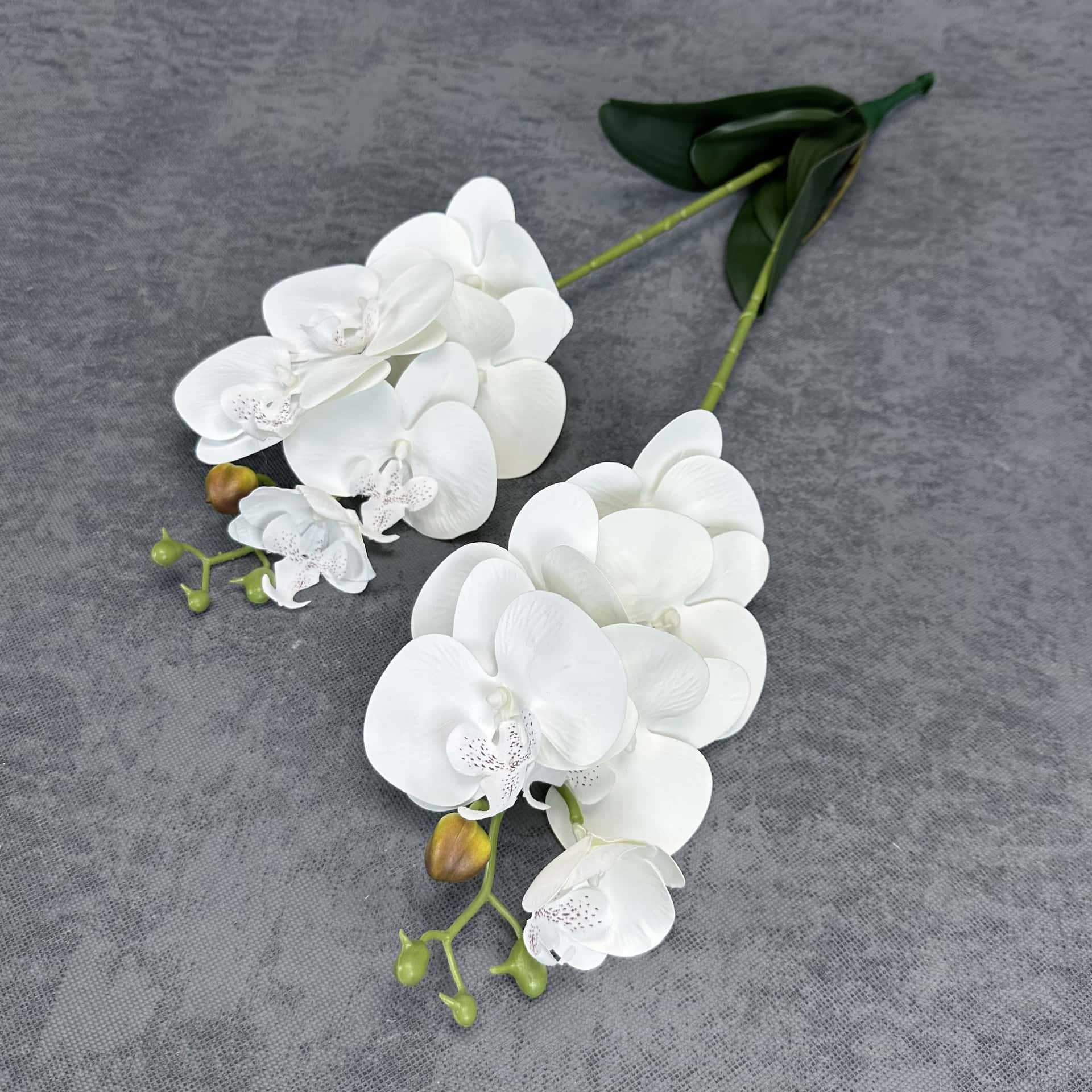 Simulación de 2 horquillas 12 mariposa orquídea PU sensación de flores falsas decoración del hogar decoración de boda props orquídea adornos al por mayor