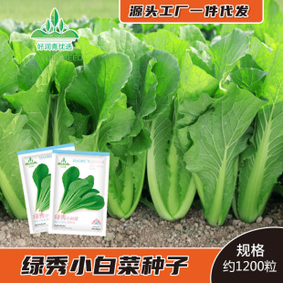 ���l�๣�ļ�С�ײ˷N�Ӵ�G��˷N���̨���Բˈ@������˲˷N��