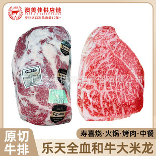 ���ޘ���ȫѪ��ţ���������S�ϗl�Z�ǉ�ϲ����������ѩ��ţ�����l