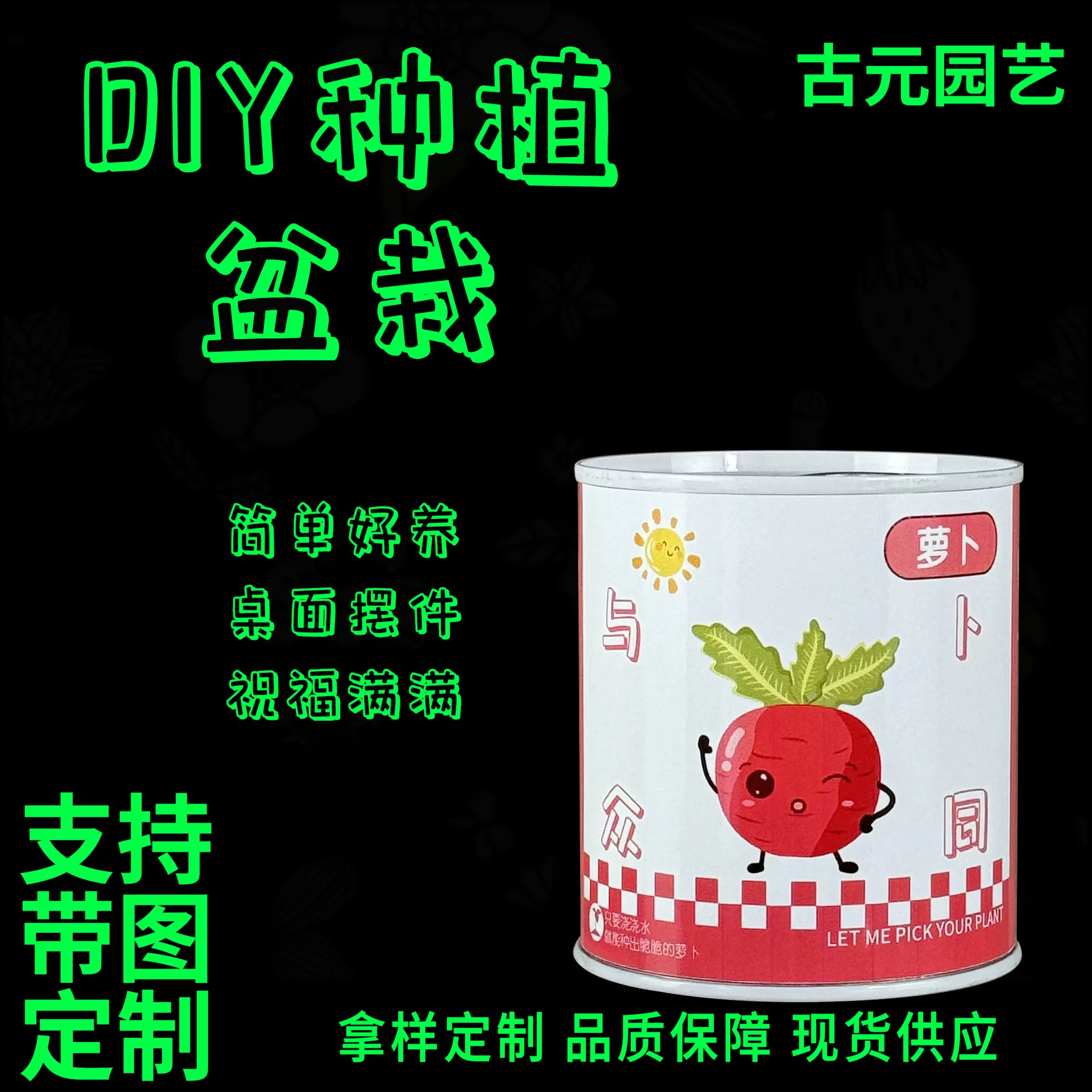 网红祝福易拉罐盆栽  儿童礼品罐头盆栽室内桌面迷你绿植花卉