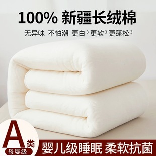 Xinjiang Cotton Quilt with Fish Scale Mesh, Hand-Sewn Edge Cotton Batting Core, Thickened Winter Quilt, Spring and Autumn Quilt Core, Mattress Quilt