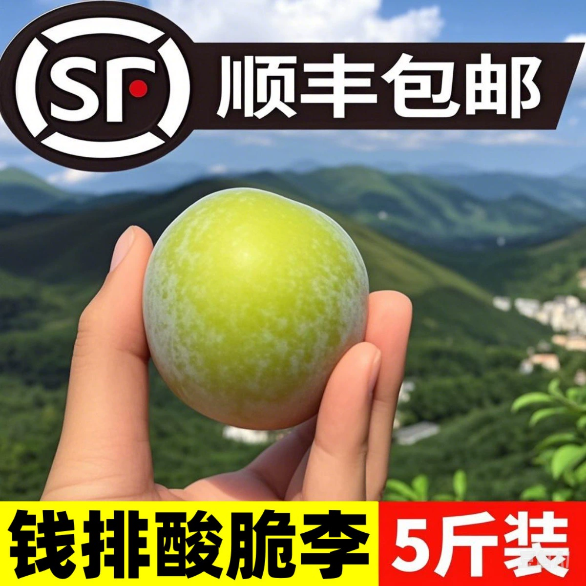 Кислые хрустящие сливы, мартовские сливы, свежие фрукты, сливы Цяньпай Санхуа, жемчужно-зеленые сливы, сезонные крупные фрукты для беременных, 2 бесплатная доставка 2.5kg