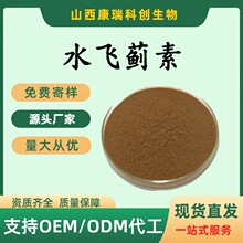 水飞蓟素 30-80% 多规格 提取物水飞蓟食品级原料水溶粉末药食同