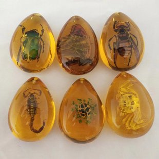 Factory wholesale boutique natural insect amber specimen butterfly scorpion running Jianghu insect pendant