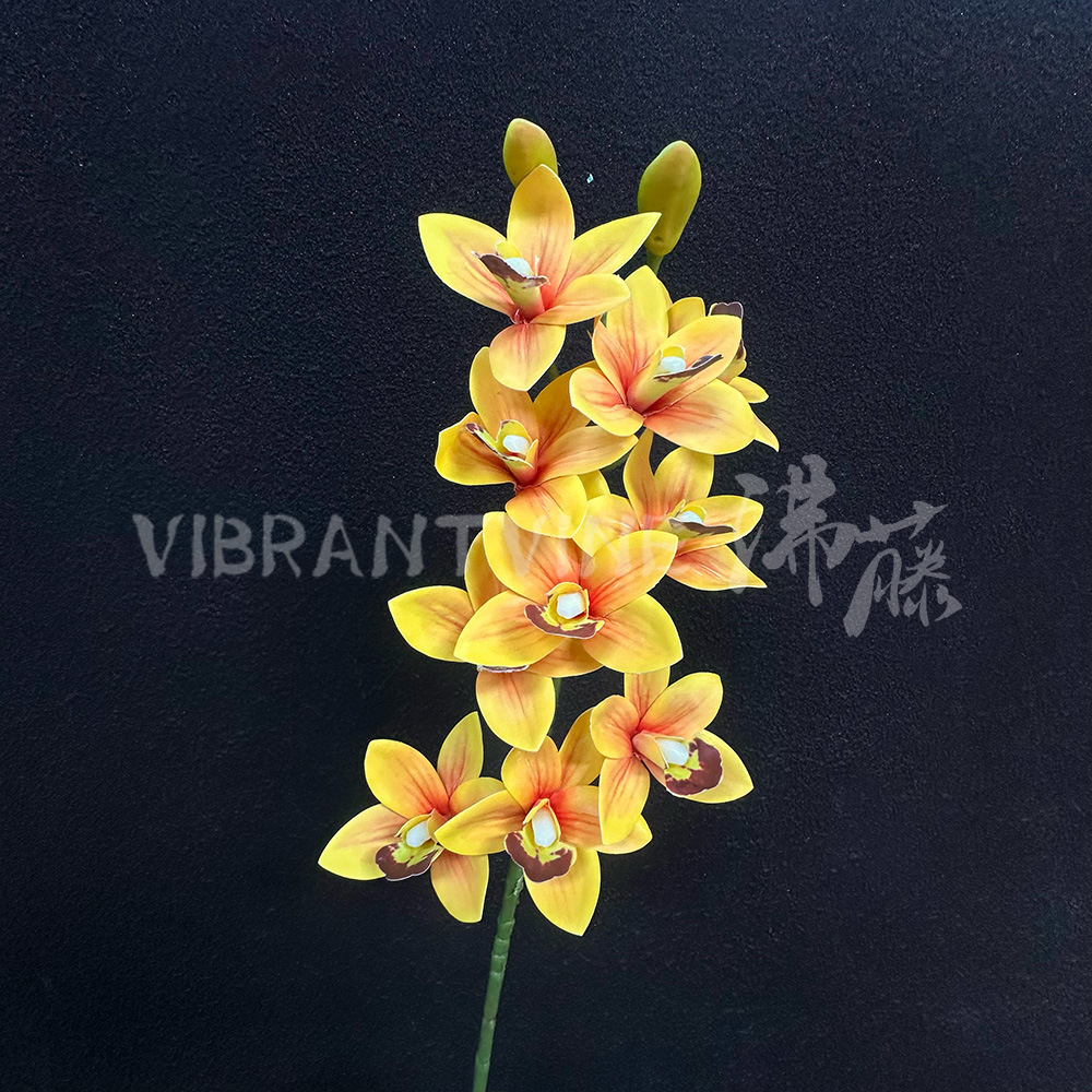Yellow 10-head cymbidium
