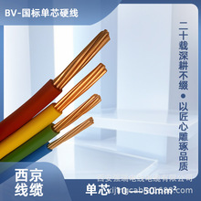 西京牌BV 50平方国标铜芯电缆 单芯多股绝缘硬电线