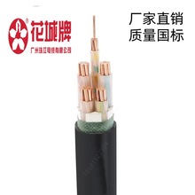 �V���齭��|������ZC-YJV4*35+1*16ƽ��������ȼ�~о��|ZC-VV