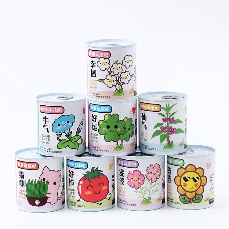 退屈解消ブラインドボックスオフィス魔法の植物小さな鉢植え緑の植物缶詰デスクトップミニ子供の手作りおもちゃ減圧|undefined