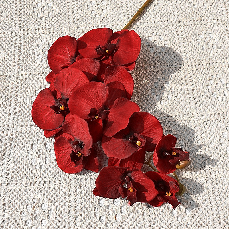 O1CN01i7jM1m1s540pyPlIB_!!4036