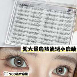 超大量自然清透小鹿睫假睫毛温柔氛围感上眼轻盈自然轻柔舒适日常
