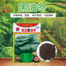 Ͷ˷NͥԺԷNֲͶ߲rˈ@߲˷Nl