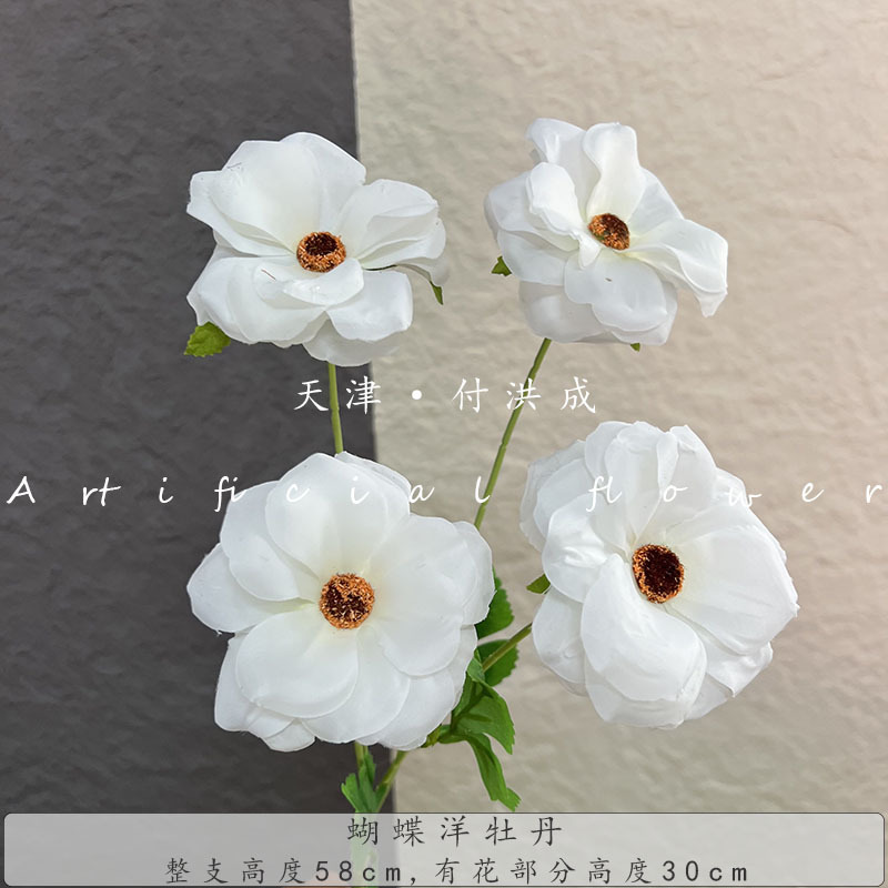 나비 모란