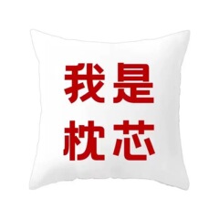 工場直接供給卸売不織布枕コアクッションコア pp 綿枕コアソファ枕枕コア 45 50 55