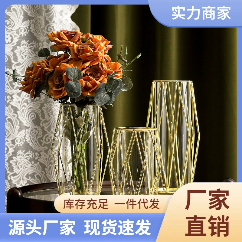 Скандинавская ваза из железа и стекла с гальваническим покрытием для гидропоники, декор для дома, столовой, рабочего стола, гостиной, для зеленых растений и цветов