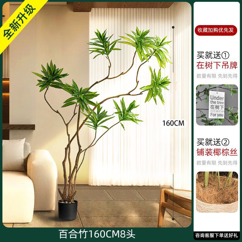 [W Ruyi Bamboo] Lưu vực thân đen 160CM8