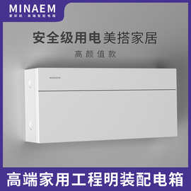 蒙斯朗纯平配电箱明装室内高颜值强电箱24位强电布线盒家用控制箱