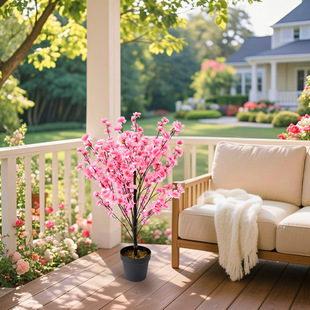 25������ɫ�һ������� �Ҿӿ͏d��c�bٻ���ؔ[��ins�L�쾰