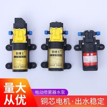 鲁博士/雨露微型电动隔膜泵电动喷雾器大流量12V水泵洗车机水泵