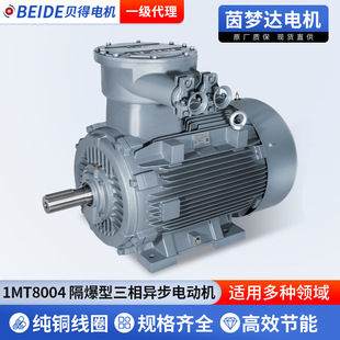 1MT8004���������ஐ��늄әCIP55����늙Cʯ�ͻ����͚�ؐ��늙C