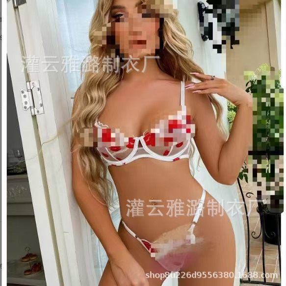 Aiyang amazon delgada ropa interior europea y americana fábrica de bordado de comercio exterior venta directa de tamaño de encaje impresión labial