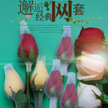 õ廨l ¼W׻ܱoϰbW۴ ɫpe