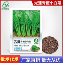 ๣Сײ˷N͟ͺ๣˷NС߲˷NݏSl