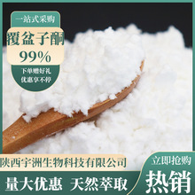 覆盆子酮98% 天然覆盆子提取物水溶性覆盆子酮粉 覆盆子提取物