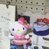 【Pink】 Fish KT