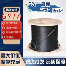 层绞式通信光缆GYTA 2-144B1.3 光缆现货直供批发货期短GYTA