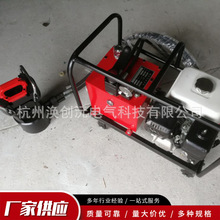 手动泵脚踏泵电动泵汽油柴油泵单双路70/80MPa超高压液压泵