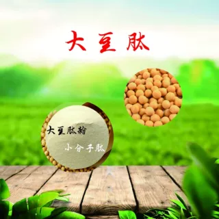 大豆肽 大豆肽粉 食品级大豆低聚肽粉 小分子活性肽 大豆蛋白肽