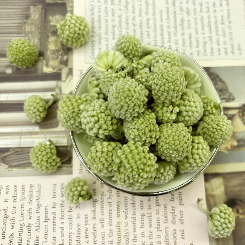 Hu Yuan Tang wholesale new goods Tibetan green ivy flower loose tea snow love secret flower, Tibetan green ivy snow beauty flower 