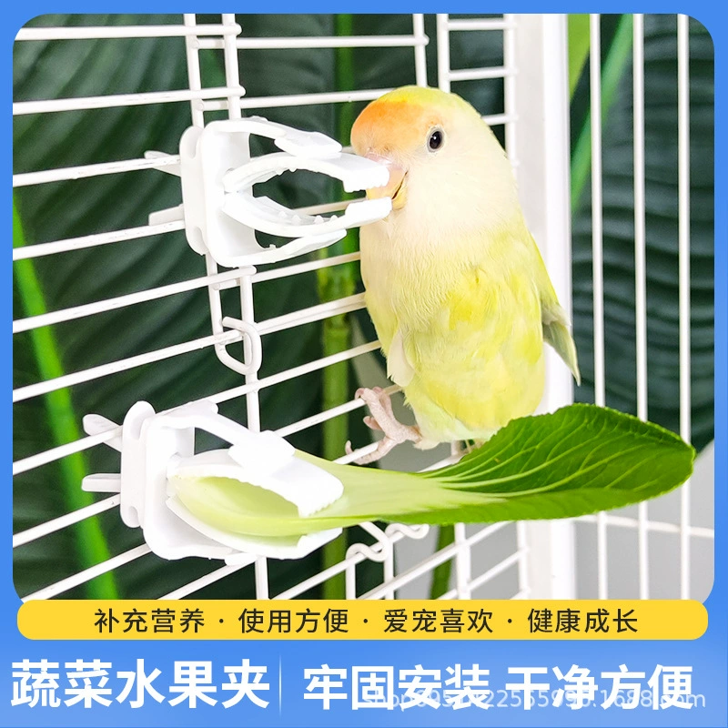 Попугай овощной зажим Фруктовые закуски Фруктовые и овощные зажимы Xuanfeng пион птичий клетка аксессуары попугай кормушка