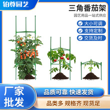 �¿����Ƿ���֧���� ֧�����b �҃����߲˷Nֲ�� ֲ�����ټ�